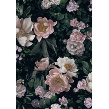 In Bloom 7234