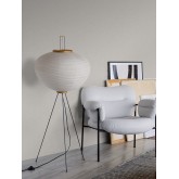 Eastern Simplicity 3109