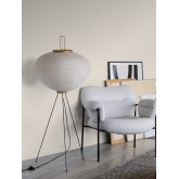 Eastern Simplicity 3110