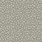 3268 Borastapeter