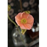 Treasured 2268