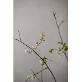 Treasured 2276
