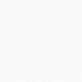 White Light 1733