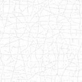 White Light 1733