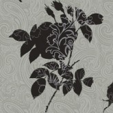 ECO Studio 6031