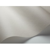 Linen 5553