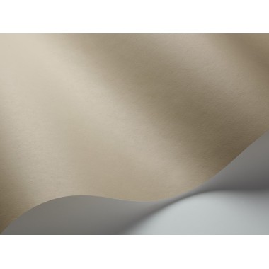 Pigment 7917