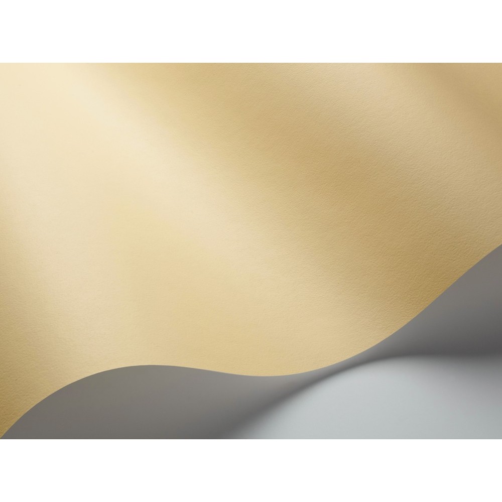 Pigment 7919 Pigment 7919