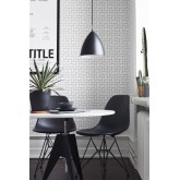 Black & White 6070
