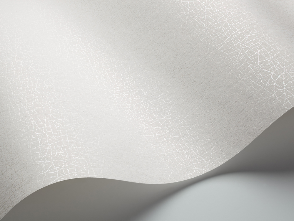 ECO White Light 1733 Vlies-Tapete Clay - Krakelee-Effekt silber metallic auf weiß