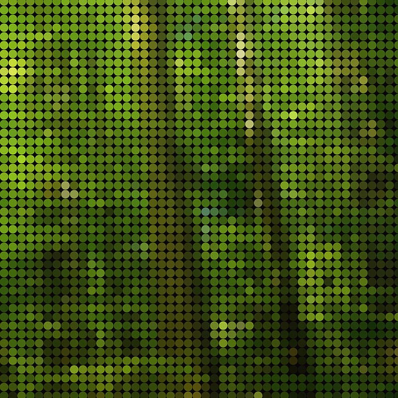 P201501-6-zoom
