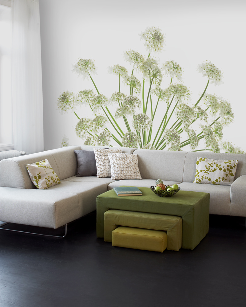 Mr. Perswall P021501-6 Wandbild Foto Blume Holunder Natur Mr Perswall P021501-6 Vliestapete Motiv Blume Holunder Digital Art Design Schweden More is Merrier